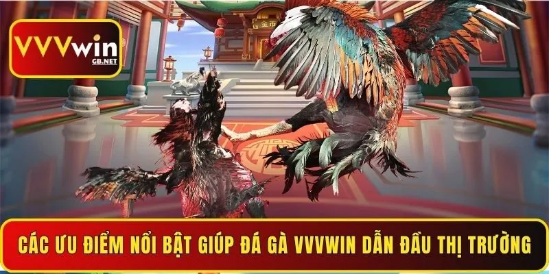 cac-uu-diem-noi-bat-giup-da-ga-vvvwin-dan-dau-thi-truong